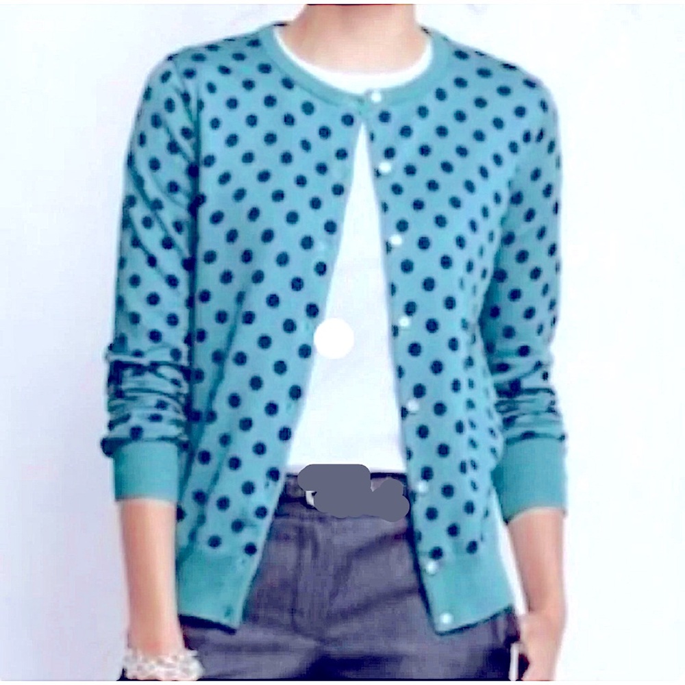 COPY - Lands’ End Polka Dot sweater, XS